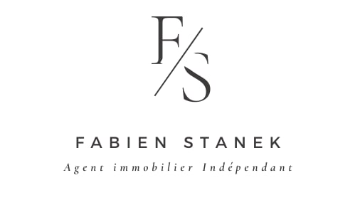 logo fabien stanek